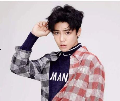 侯明昊最新爆料,娱乐圈背后的故事与真相